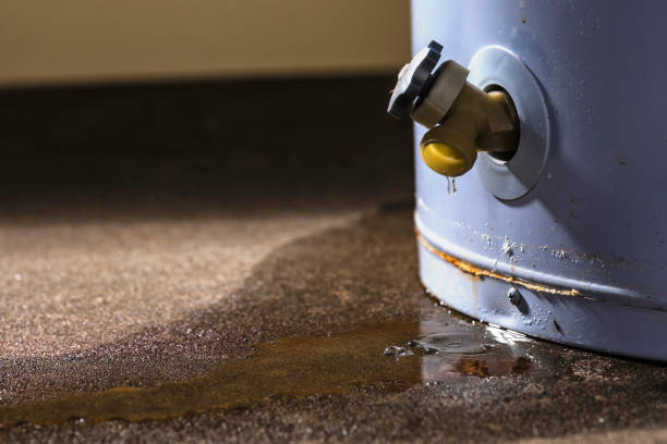 Best Carpet water damage restoration  in Lucas, TX
