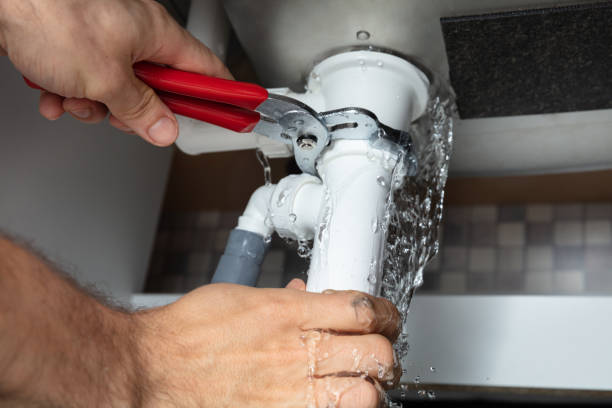 Best Professional water damage repair  in Lucas, TX
