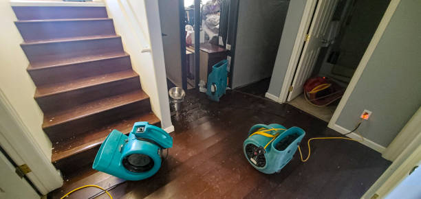 Best Residential water damage restoration  in Lucas, TX