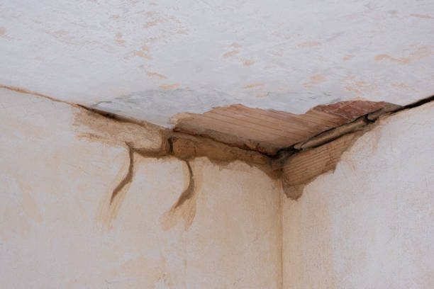 Best Emergency water damage restoration  in Lucas, TX