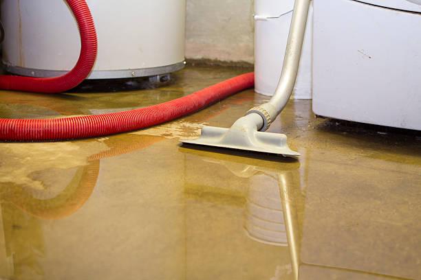 Carpet water damage restoration in Lucas, TX