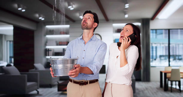 Reliable Lucas, TX Water damage restoration Solutions