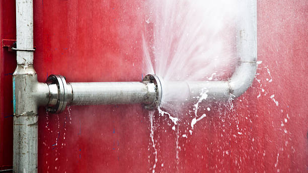 Best Professional water damage repair  in Lucas, TX